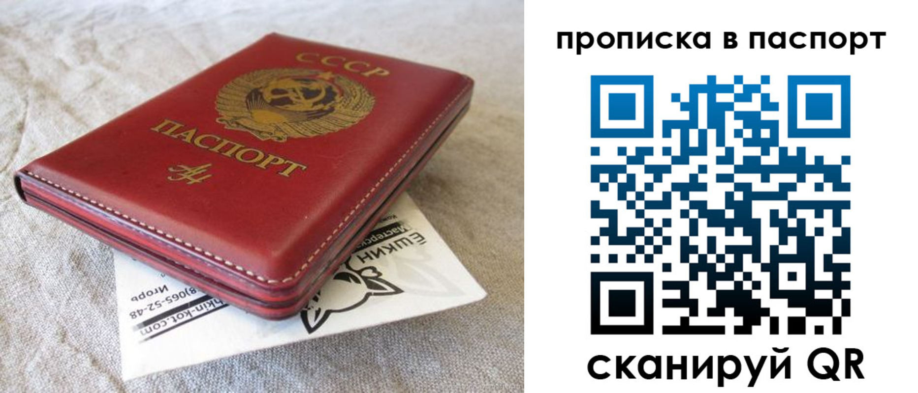 прописка штамп в Ясном